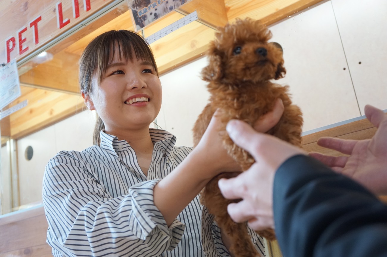 事例|あいち障害者雇用総合サポートデスク